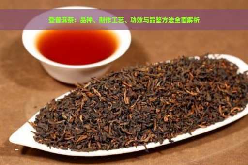 登普洱茶：品种、制作工艺、功效与品鉴方法全面解析