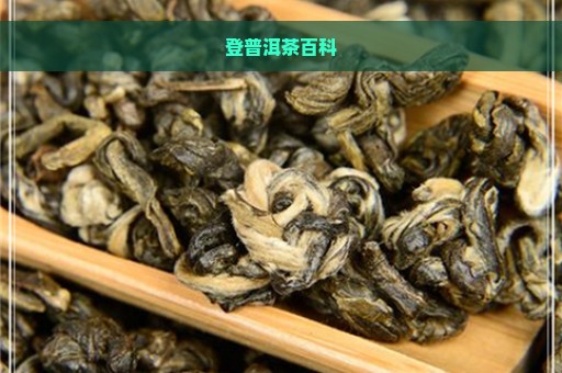 登普洱茶百科