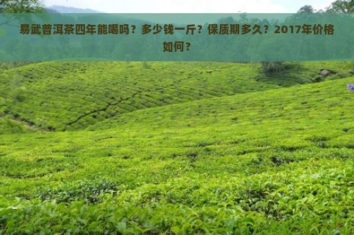 易武普洱茶四年能喝吗？多少钱一斤？保质期多久？2017年价格如何？