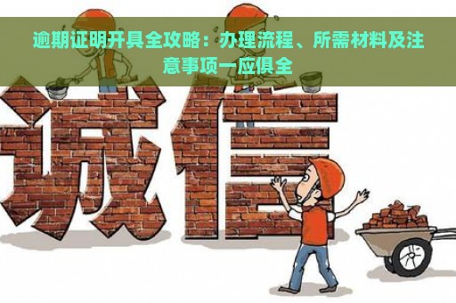 逾期证明开具全攻略：办理流程、所需材料及注意事项一应俱全