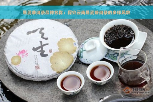 易武普洱茶品种名称：探究云南易武普洱茶的多样风貌