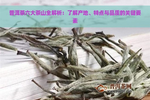 普洱茶六大茶山全解析：了解产地、特点与品质的关键要素