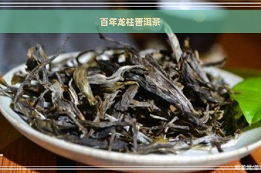 百年龙柱普洱茶