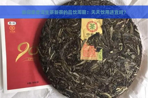 新探索普洱生茶新茶的品饮周期：天天饮用适宜吗？