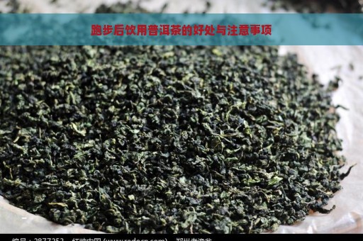 跑步后饮用普洱茶的好处与注意事项