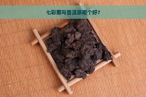 七彩菊与普洱茶哪个好？