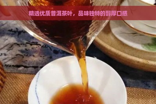 精选优质普洱茶叶，品味独特的醇厚口感