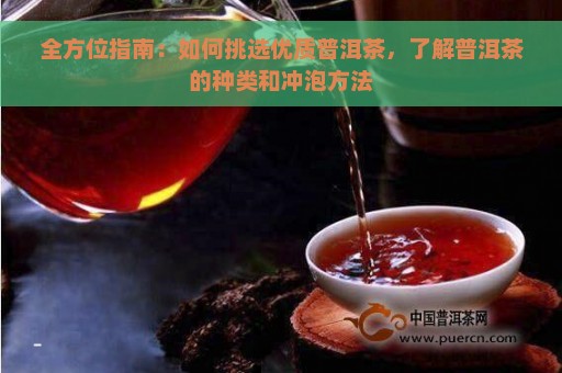 全方位指南：如何挑选优质普洱茶，了解普洱茶的种类和冲泡方法