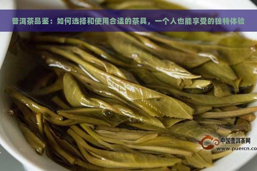 普洱茶品鉴：如何选择和使用合适的茶具，一个人也能享受的独特体验