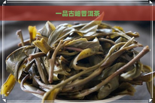 一品古岫普洱茶