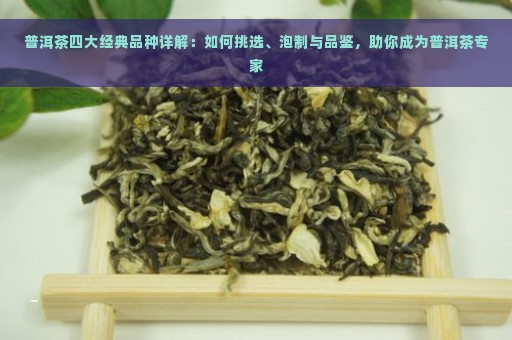 普洱茶四大经典品种详解：如何挑选、泡制与品鉴，助你成为普洱茶专家