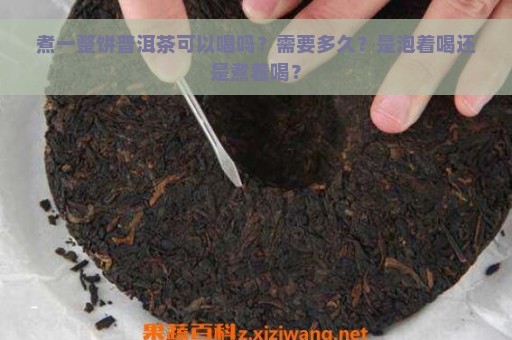 煮一整饼普洱茶可以喝吗？需要多久？是泡着喝还是煮着喝？