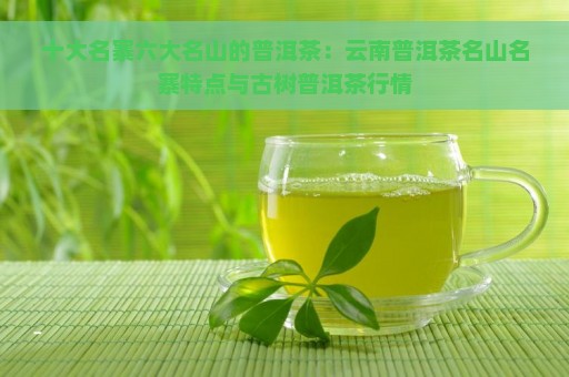 十大名寨六大名山的普洱茶：云南普洱茶名山名寨特点与古树普洱茶行情