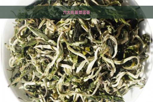 六大名寨普洱茶