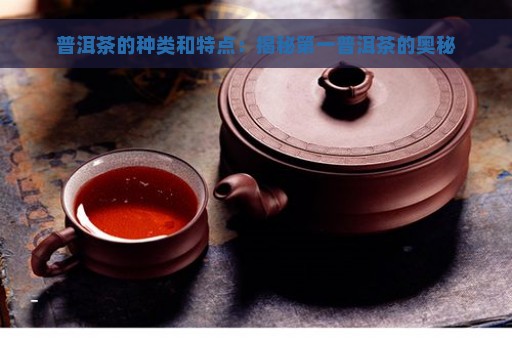 普洱茶的种类和特点：揭秘第一普洱茶的奥秘