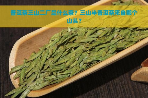 普洱茶三山二厂是什么茶？三山半普洱茶来自哪个山头？