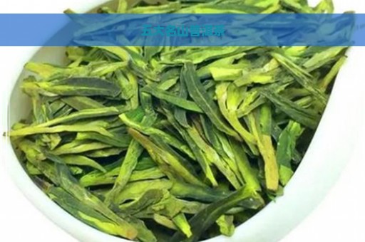 五大名山普洱茶