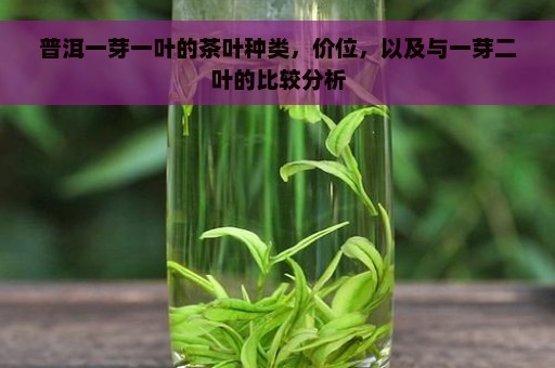 普洱一芽一叶的茶叶种类，价位，以及与一芽二叶的比较分析