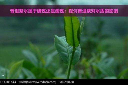 普洱茶水属于碱性还是酸性：探讨普洱茶对水质的影响