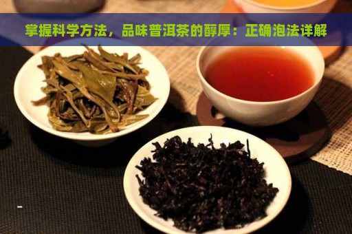 掌握科学方法，品味普洱茶的醇厚：正确泡法详解