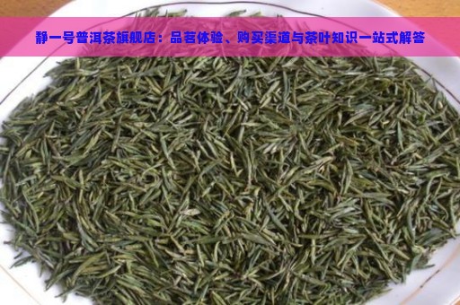 静一号普洱茶旗舰店：品茗体验、购买渠道与茶叶知识一站式解答