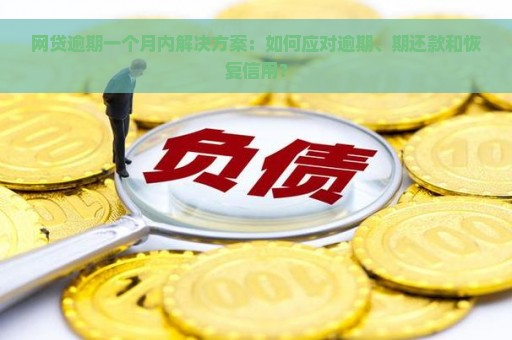 网贷逾期一个月内解决方案：如何应对逾期、期还款和恢复信用？