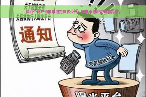 深圳个体户逾期申报罚款多少元：逾期未报税将面临罚款。