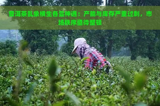 普洱茶乱象横生各显神通：产能与库存严重过剩，市场秩序亟待整顿