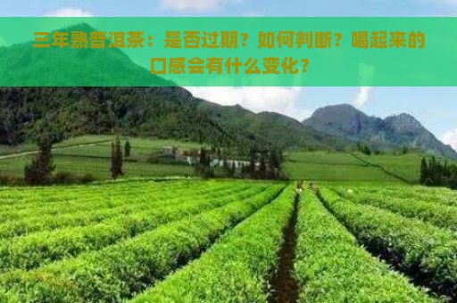 三年熟普洱茶：是否过期？如何判断？喝起来的口感会有什么变化？