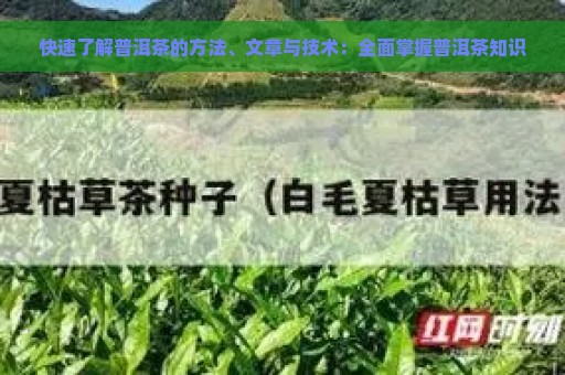 快速了解普洱茶的方法、文章与技术：全面掌握普洱茶知识