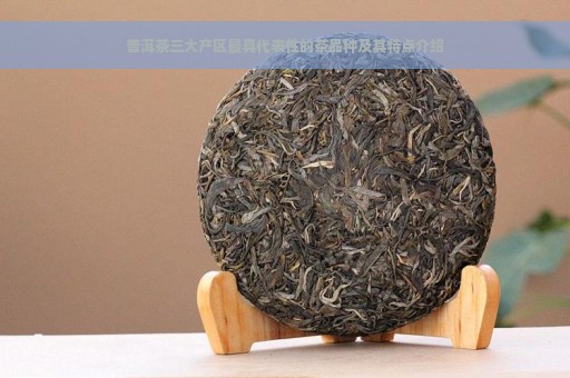 普洱茶三大产区最具代表性的茶品种及其特点介绍