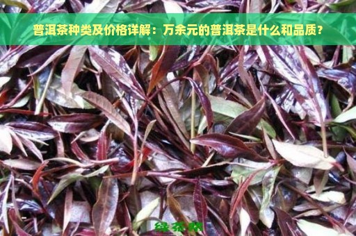 普洱茶种类及价格详解：万余元的普洱茶是什么和品质？