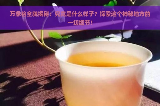 万象谷全貌揭秘：究竟是什么样子？探索这个神秘地方的一切细节！