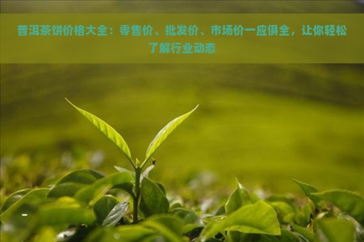 普洱茶饼价格大全：零售价、批发价、市场价一应俱全，让你轻松了解行业动态