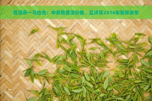 普洱茶一马当先：中茶熟普洱价格、品评及2014年新茶发布