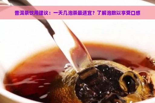 普洱茶饮用建议：一天几泡茶最适宜？了解泡数以享受口感