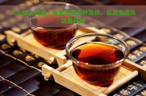 六山缘上商城：专业云南茶叶直供，品质生活从这里开始