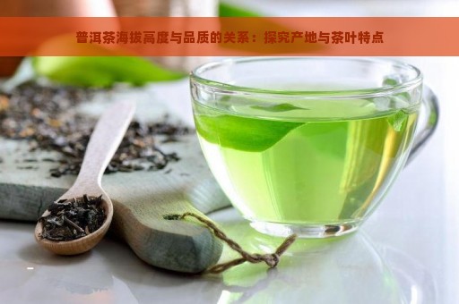 普洱茶海拔高度与品质的关系：探究产地与茶叶特点