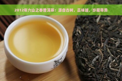 2012年六山之春普洱茶：源自古树，品味越，珍藏尊贵