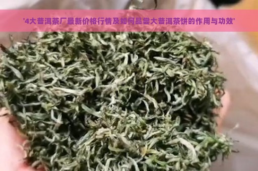 '4大普洱茶厂最新价格行情及如何品尝大普洱茶饼的作用与功效'