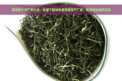 普洱茶十大厂名大全：全面了解知名普洱茶生产厂家，助您轻松选购正品