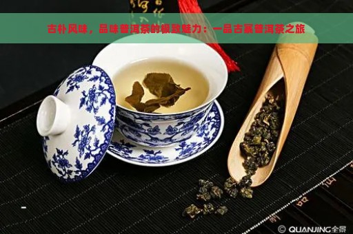 古朴风味，品味普洱茶的极致魅力：一品古寨普洱茶之旅