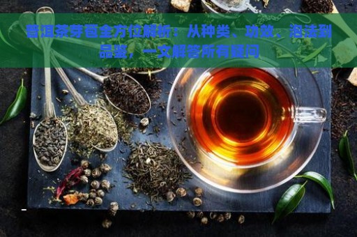 普洱茶芽苞全方位解析：从种类、功效、泡法到品鉴，一文解答所有疑问