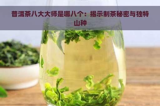 普洱茶八大大师是哪八个：揭示制茶秘密与独特山种