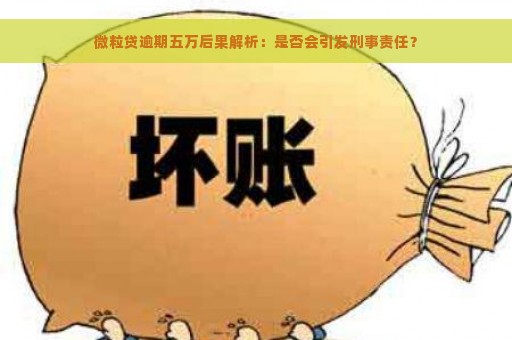 微粒贷逾期五万后果解析：是否会引发刑事责任？