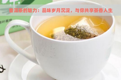 普洱茶的魅力：品味岁月沉淀，与你共享茶香人生