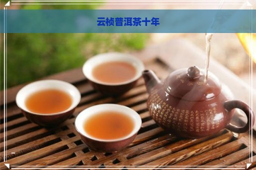 云桢普洱茶十年