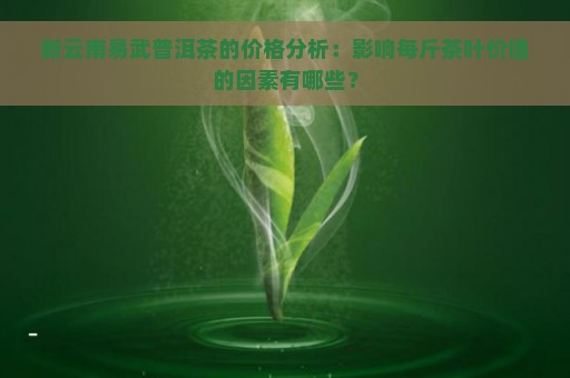 新云南易武普洱茶的价格分析：影响每斤茶叶价值的因素有哪些？