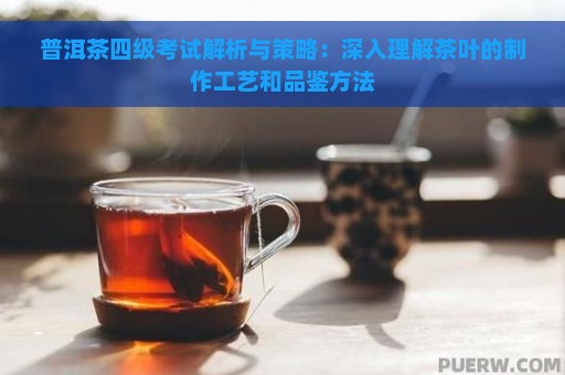 普洱茶四级考试解析与策略：深入理解茶叶的制作工艺和品鉴方法