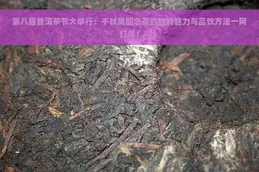 第八届普洱茶节大举行：千秋凤圆念茶的独特魅力与品饮方法一网打尽！